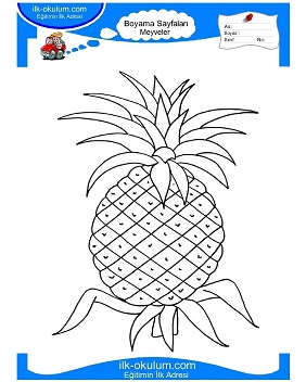Çocuklar İçin Ananas Boyama Sayfaları 